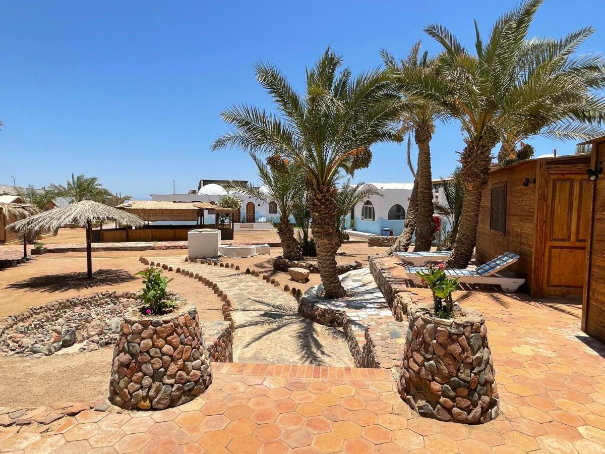 Dolphin Camp Hotell Dahab Exteriör bild