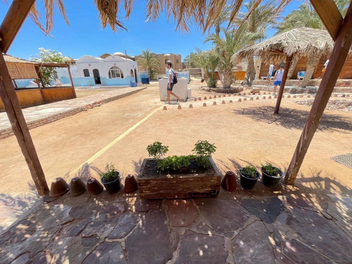 Dolphin Camp Hotell Dahab Exteriör bild