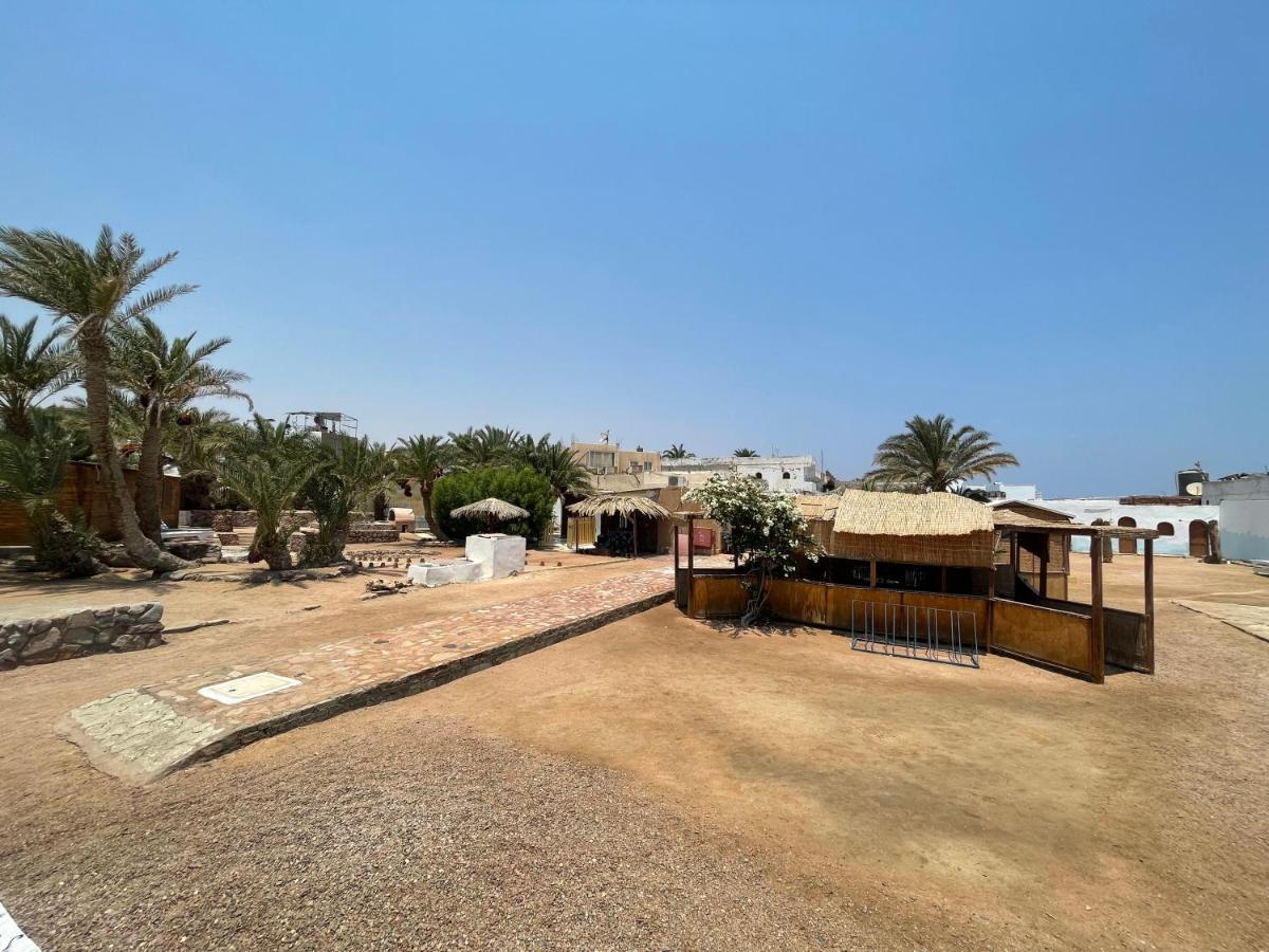 Dolphin Camp Hotell Dahab Exteriör bild