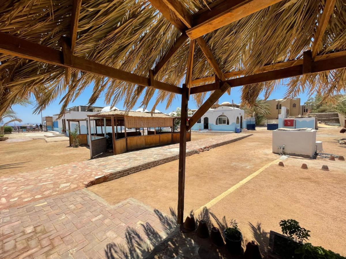 Dolphin Camp Hotell Dahab Exteriör bild