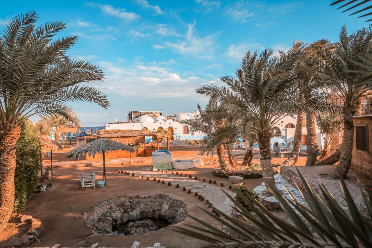 Dolphin Camp Hotell Dahab Exteriör bild