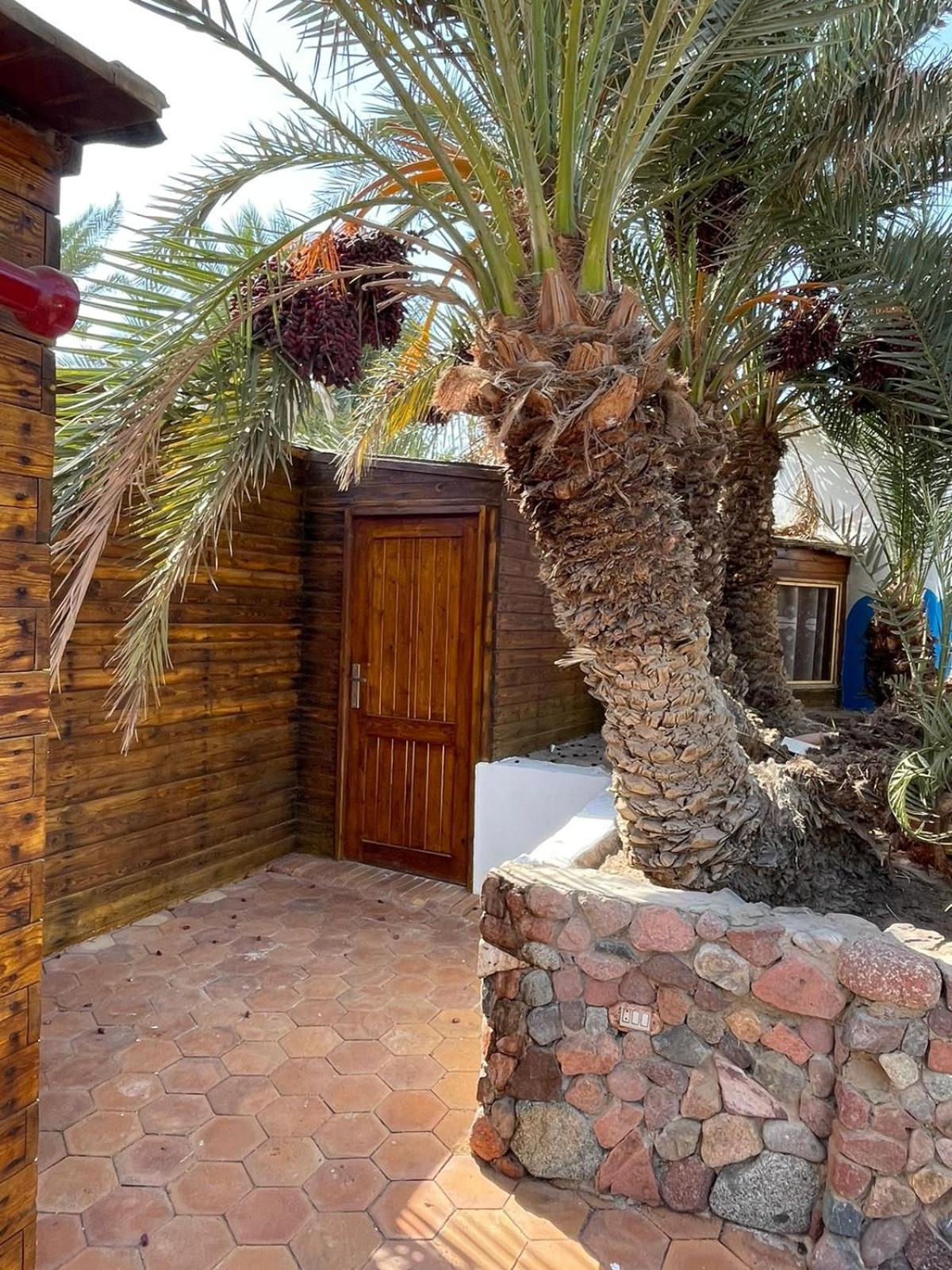 Dolphin Camp Hotell Dahab Exteriör bild