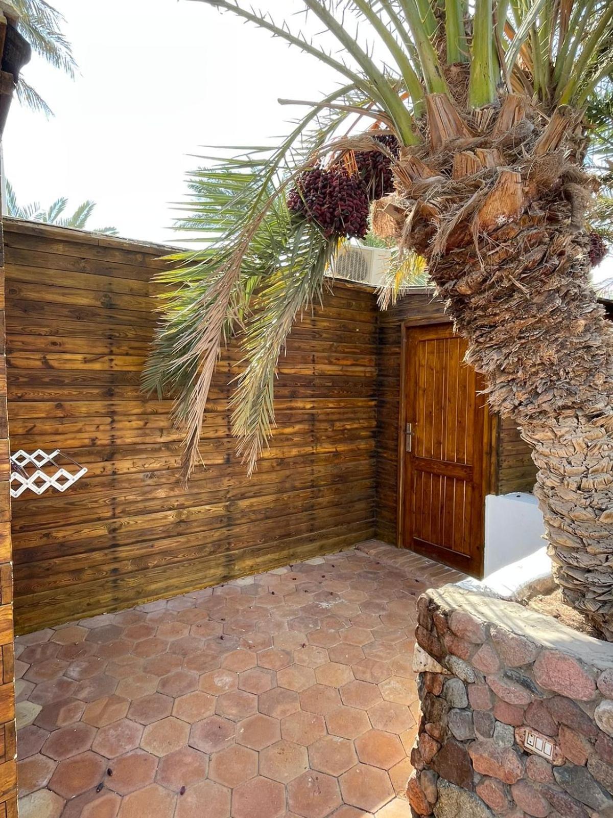 Dolphin Camp Hotell Dahab Exteriör bild